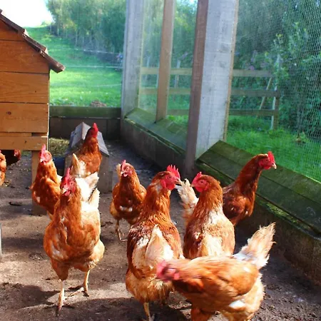 Casas D'arramada Villa *