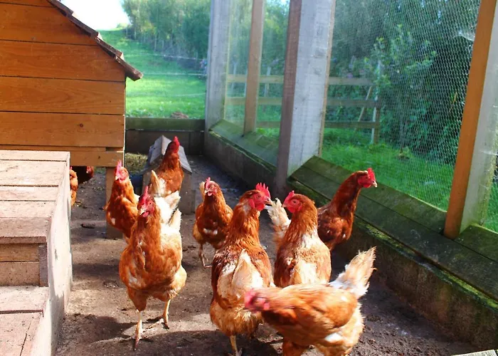 Casas D'arramada Villa *