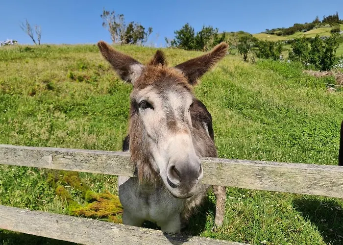 Casas D'arramada * Ribeira Funda (Faial)